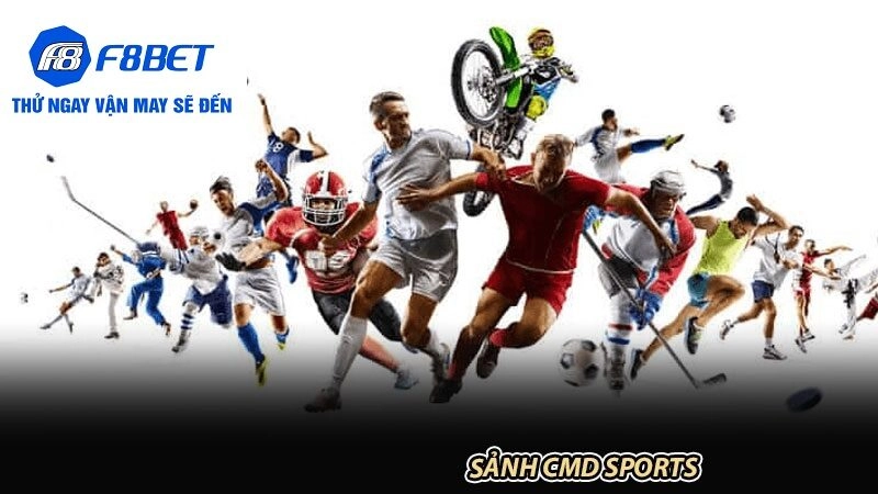 Các Loại Hình Cá Cược Thể Thao Đa Dạng Tại CMD Sport F8BET