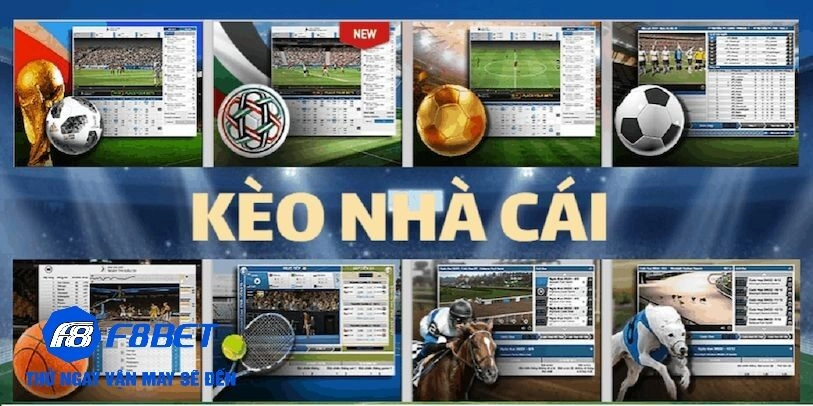 Giới thiệu chung về kèo nhà cái