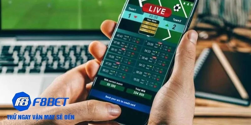 Kinh nghiệm đọc kèo nhà cái cho người mới bắt đầu