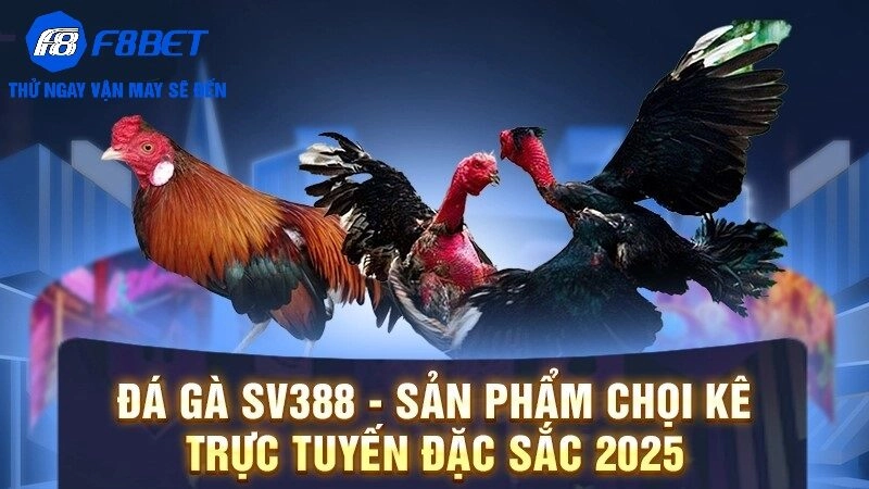 Lý do F8BET trở thành điểm đến lý tưởng cho người chơi đá gà SV388